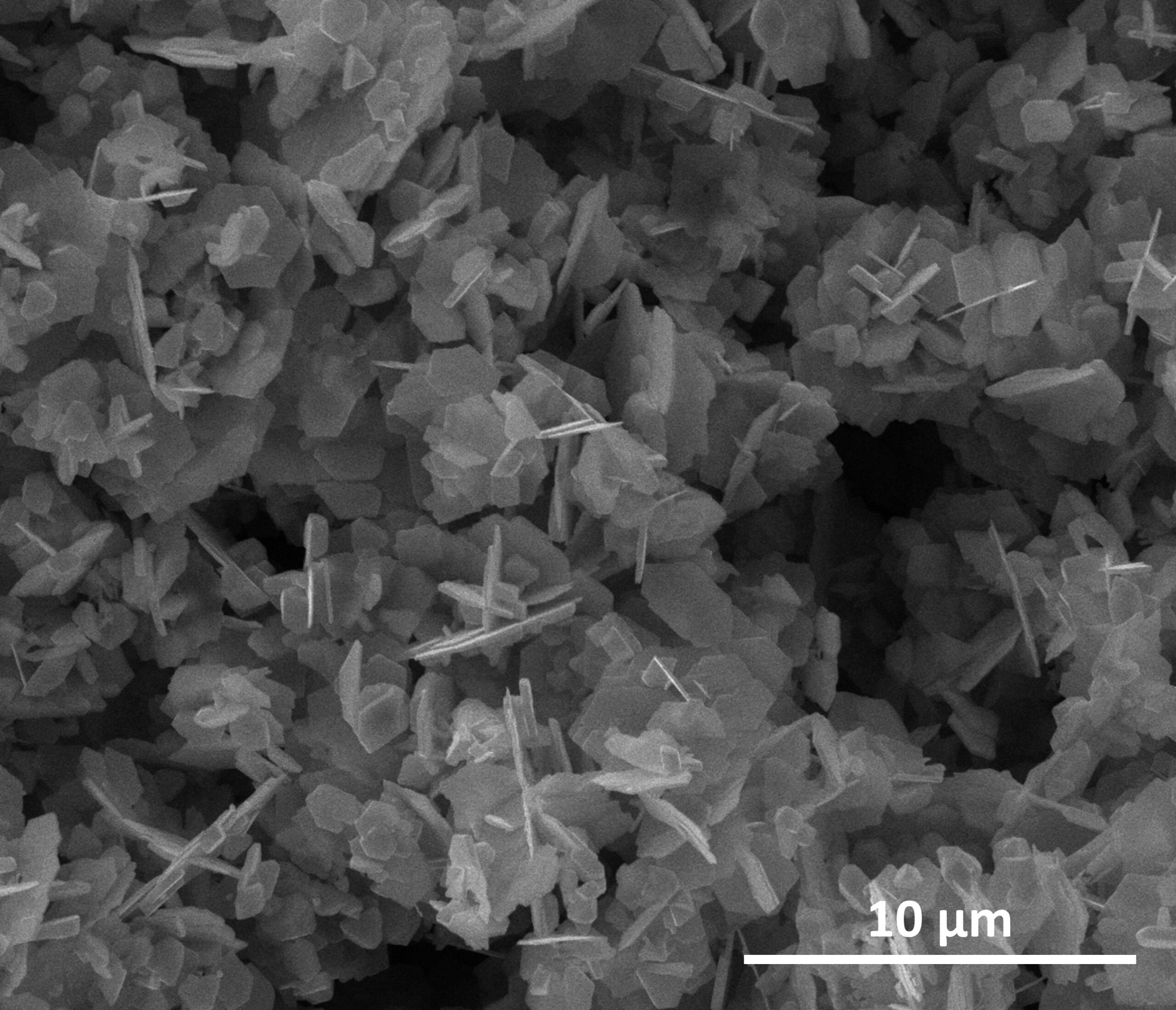 SEM Image of Silver Flakes