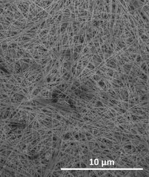 SEM Image of Silver Nanowire Membrane